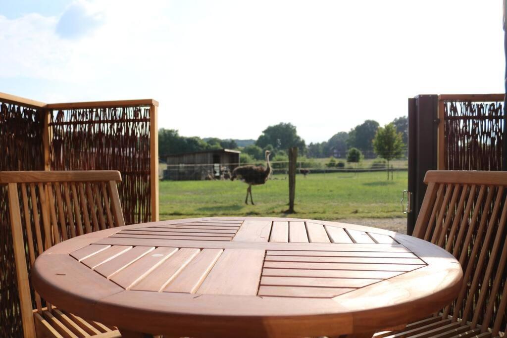 Villa Tiny Haus Straussenblick 2 à Bad Fallingbostel Extérieur photo